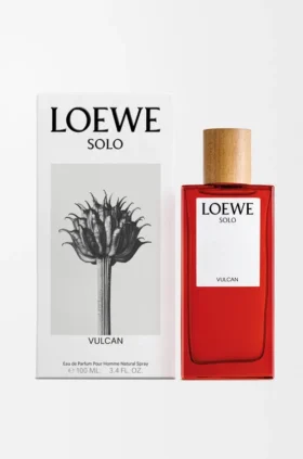 ロエベ ソロ バルカン オードゥ パルファン 100ml