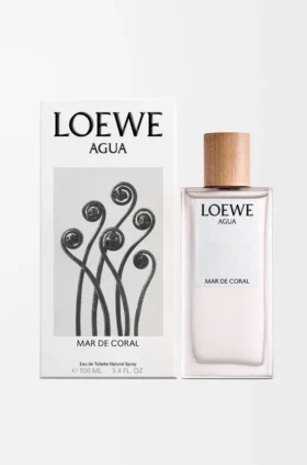 ロエベ アグア マル デ コラル オードゥ トワレ 100ml