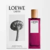 ロエベ アース オードゥ パルファン 50ml ロエベ アース オードゥ パルファン 50ml