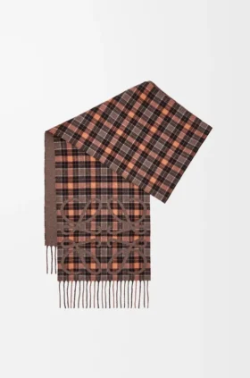 シルクとカシミア製のAnagramスカーフ