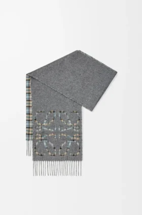 シルクとカシミア製のAnagramスカーフ