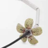 スターリングシルバーとクリスタルを使用した「Flor」ネックレス スターリングシルバーとクリスタルを使用した「Flor」ネックレス