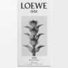Loewe 001 Man オードトワレ 100ml Loewe 001 Man オードトワレ 100ml