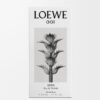 Loewe 001 Man オードトワレ 50ml Loewe 001 Man オードトワレ 50ml