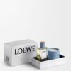 LOEWE パフューム ホームフレグランス サイプレスボール ギフトセット