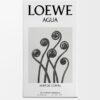 Loewe Agua マル・デ・コーラル 150ml Loewe Agua マル・デ・コーラル 150ml