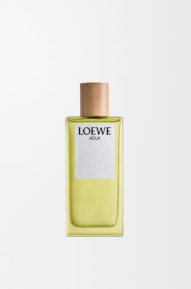 Loewe Agua EDT 100ml