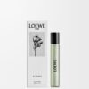 Loewe Aire Sutileza 15ml バイアル Loewe Aire Sutileza 15ml バイアル
