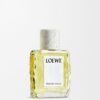 loewe ロースト・バニラ EDP 100ml loewe ロースト・バニラ EDP 100ml