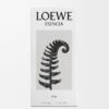 Loewe Esencia エリクサー 50ml Loewe Esencia エリクサー 50ml