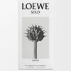 Loewe Solo Cedro 100ml Loewe Solo Cedro 100ml