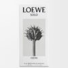 Loewe Solo Cedro 50ml Loewe Solo Cedro 50ml