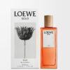 Loewe Solo エラ EDP 50ml Loewe Solo エラ EDP 50ml