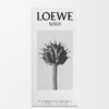 Loewe Solo EDT 50ml Loewe Solo EDT 50ml