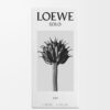 Loewe Solo Elixir 50ml Loewe Solo Elixir 50ml