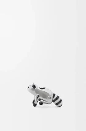 アライグマのダイス